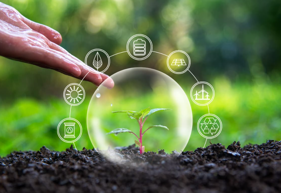 Screenshot 2025-11-18 at 08.21.30